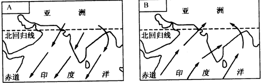 小学四年级语文上册：十金钱