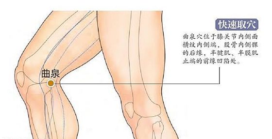 小学三年级语文下册教师教学用书选读课文使用说明及课文简介
