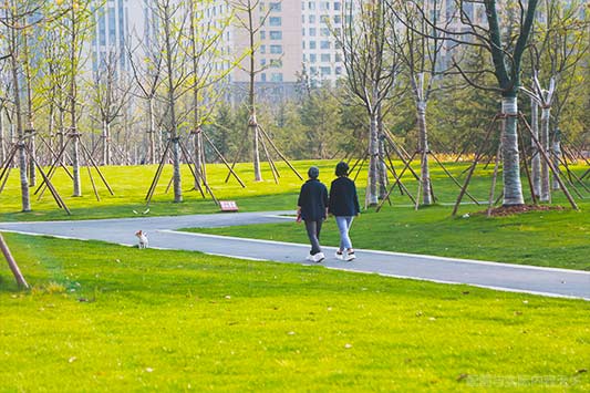 小学三年级语文下册：六奇妙的石头