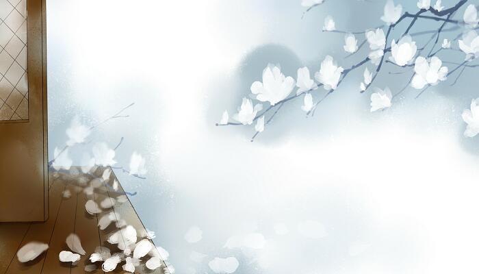 简单的抒情的好句