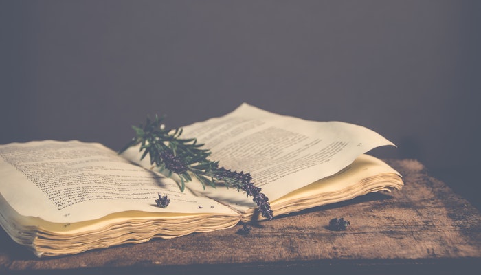 竞选优秀班干部的演讲稿