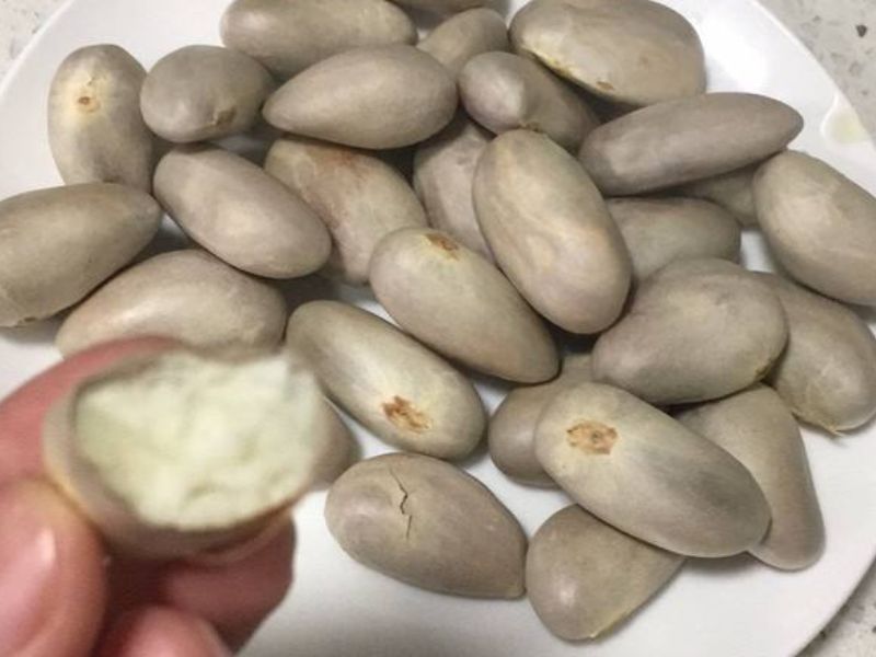 设a、b为非零向量，且满足（a+3b）⊥（7a-5b），（a-4b）⊥（7a-2b），则a与b的夹角