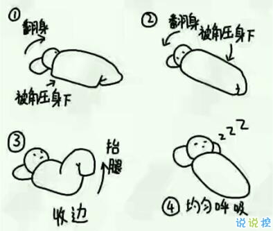 动画