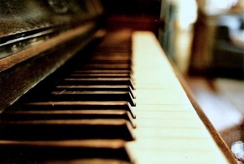 选择双音节词识别可了解儿童的（）