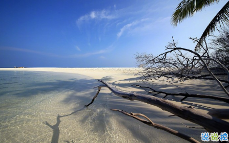 自然语言处理（NLP）（一）文本预处理篇之分词、向量表示和特征处理