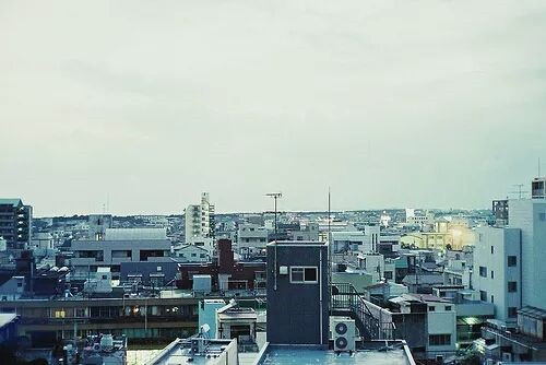 关于加密推特，您应该知道的六件事