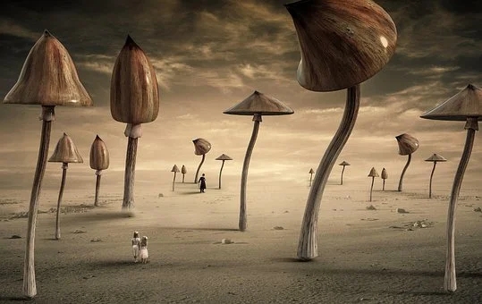 ios实现文件对比的方法