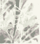 2026考研每日时事政治：2025年7月10日国内外新闻