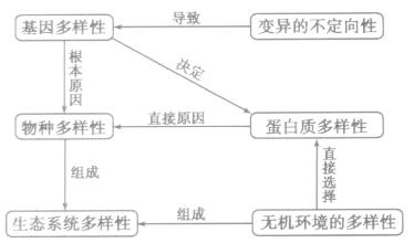 甘肃250分能考上什么大学