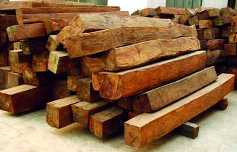 为什么欧洲人认为板材更环保?