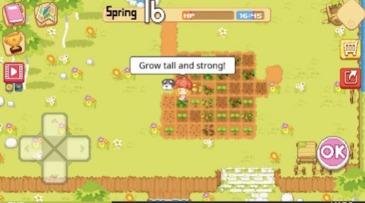 The Farm Sassy Princess游戏汉化版截图