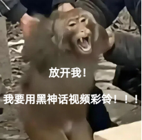 游侠网12