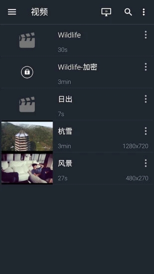 金狮播放器截图