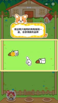 萌犬变变变截图