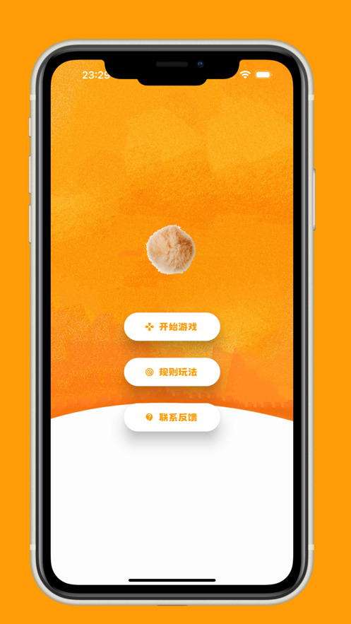 毛球排排截图